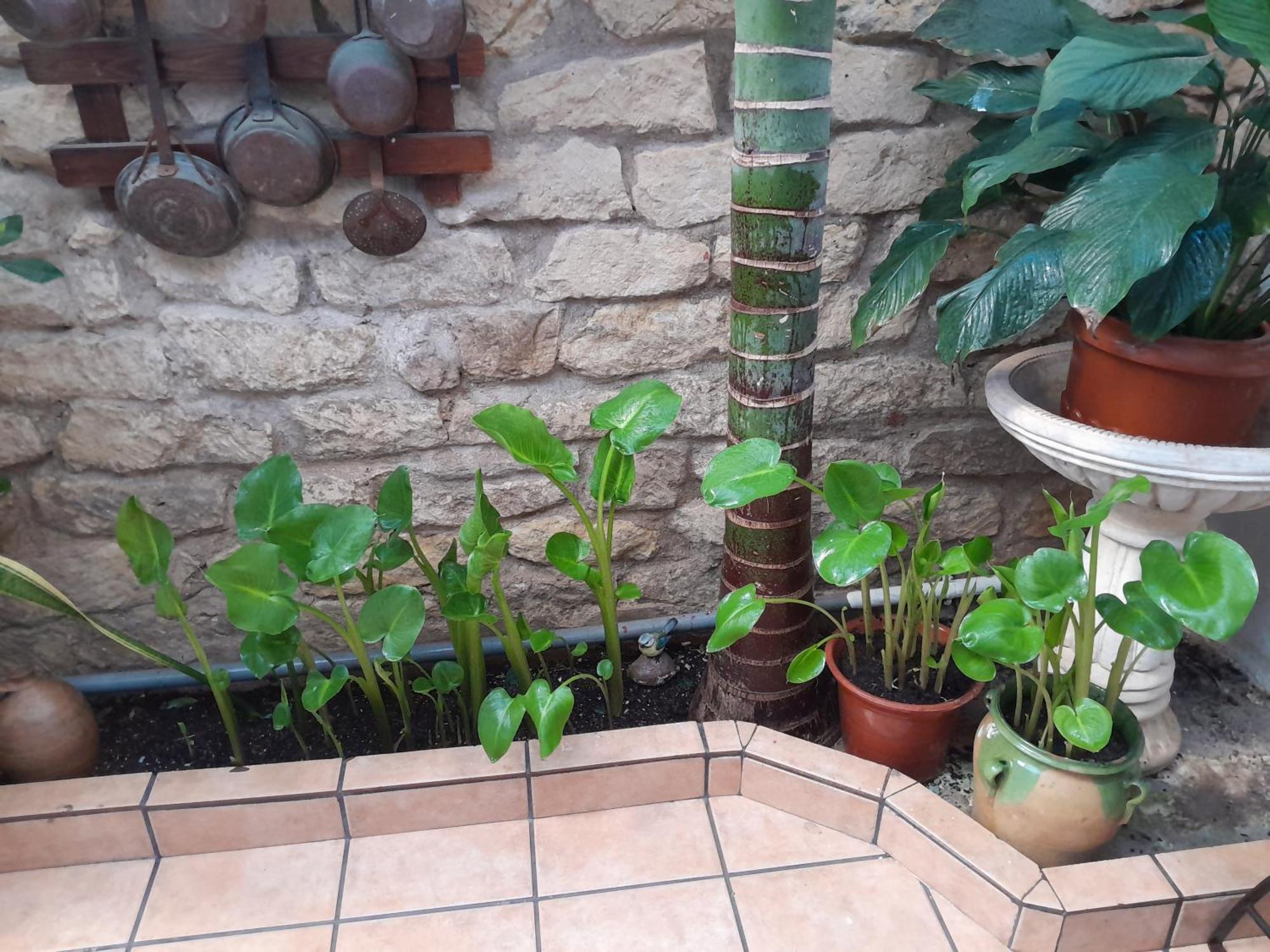 Pension Antonio Guesthouse Alicante Ngoại thất bức ảnh